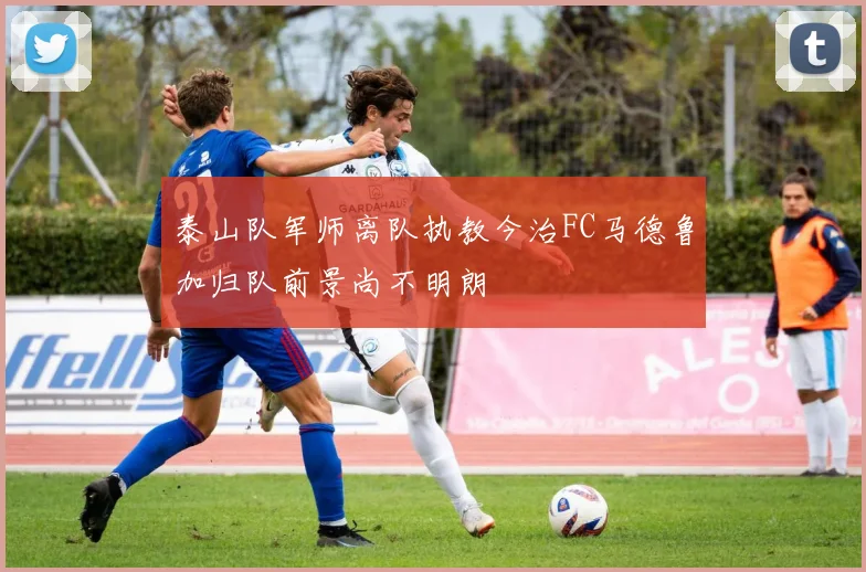泰山队军师离队执教今治FC马德鲁加归队前景尚不明朗