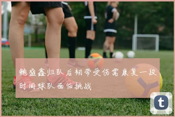 鲍盛鑫归队后韧带受伤需康复一段时间球队面临挑战